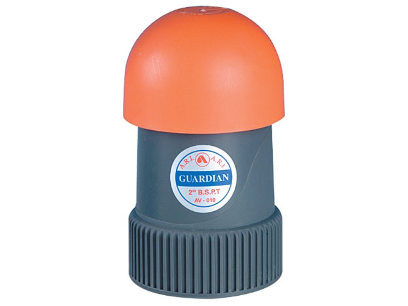 ARI Kenetic Guardian Vacuum Air Valve 50mm