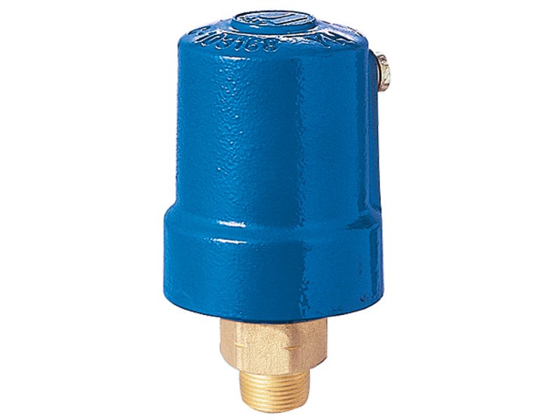 ARI Auto ARV CI &  Brass Base 20mm BSPM 16 Bar