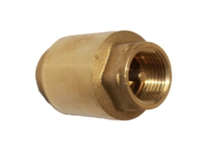 Brass Spring Check Valve 80mm