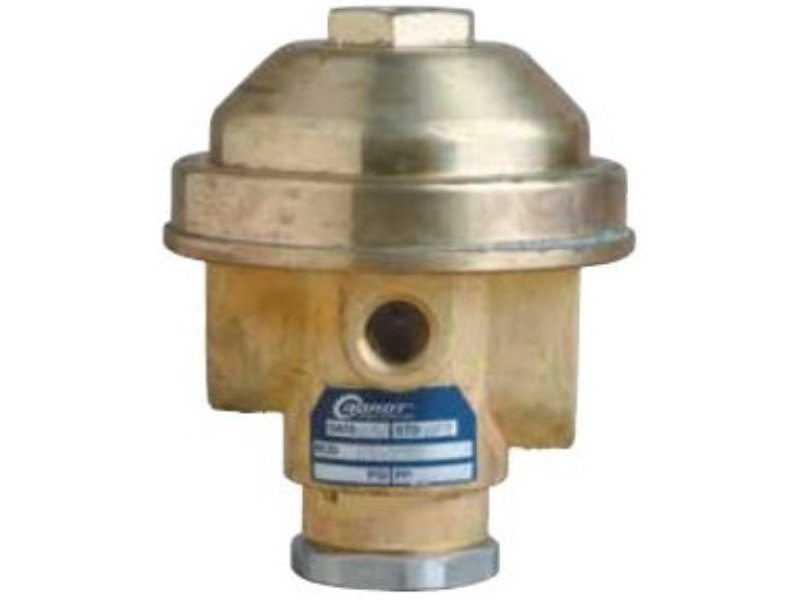 Dorot Bronze Accelerator Pilot