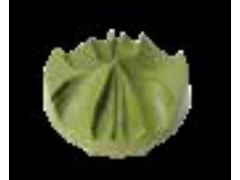 Rotor Plate - Multi-Trajectory Olive