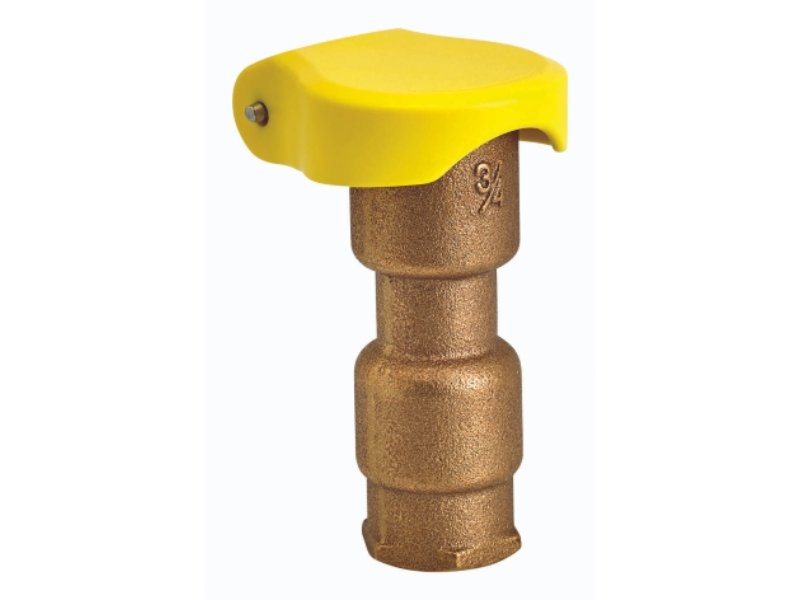 Brass Quick Coupling Valve 40mm