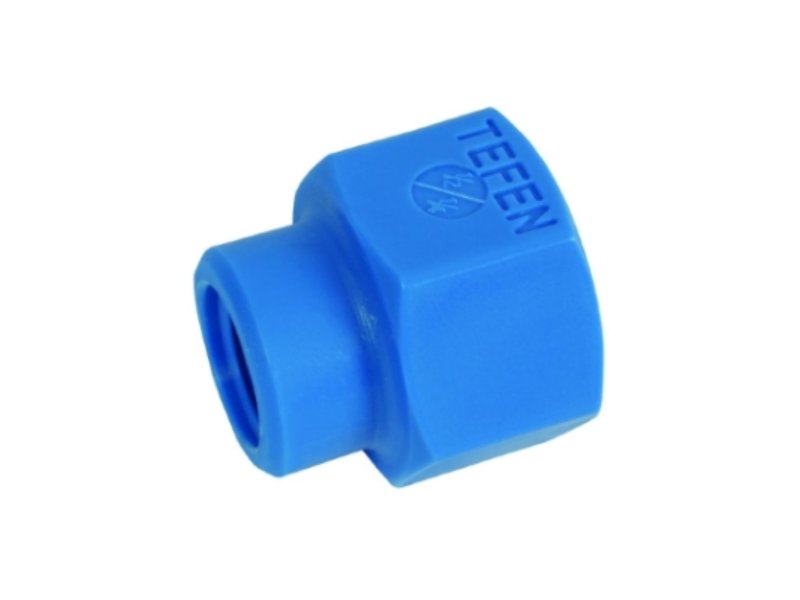 Tefen Threaded Reducing Socket 20 x 8mm